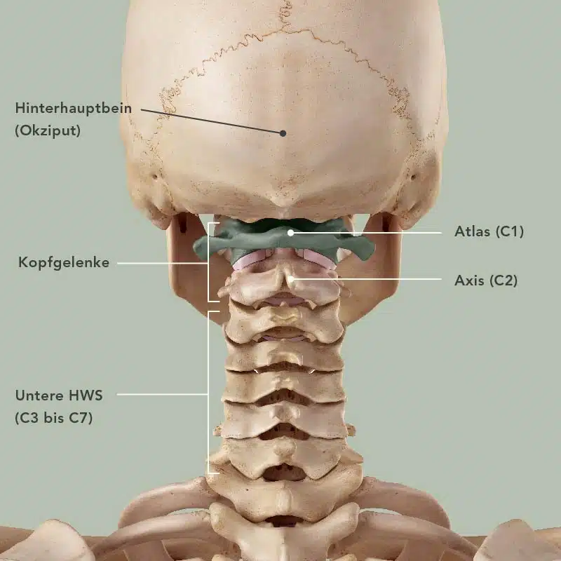 Cranio Sacral Therapie Behandlung