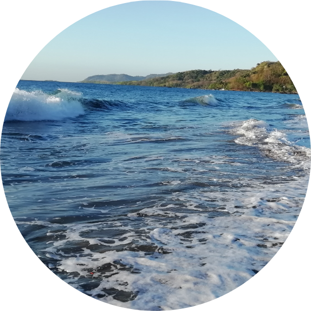 biodynamische Craniosacral Therapie