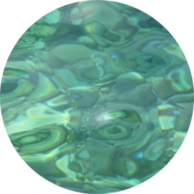 Cranio Sacral Therapie